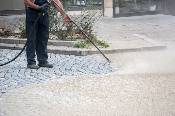 Best Sidewalk and Walkway Cleaning  in Warrington, FL